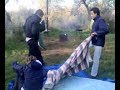 los materos los materos
