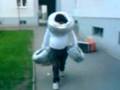 videos de buba 9 ueb