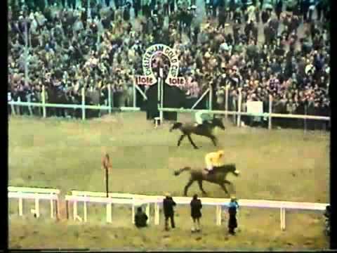 racing results cheltenham