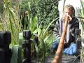 Nam Myo Ho Renge Kyo auf dem Didgeridoo Nam Myo Ho Renge Kyo auf dem Didgeridoo