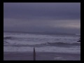 Curl 1