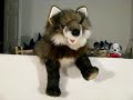 \"Pain\" Pawpet Music Video \"Pain\" Pawpet Music Video