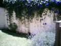 videos de MAHESHWARA.wmv
