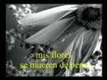 razones