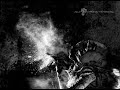 Video screenshot