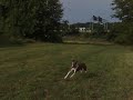 Spartacus running Spartacus running