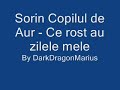 Sorin Copilul de Aur - Ce rost au zilele mele
