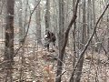 airsoft scenario