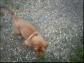 videos de Daya 2mois