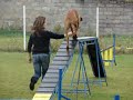 Agility
