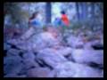 On The Rainy River- The Movie