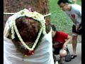 Reports on Jurong West \"Special Tree\" #2 Reports on Jurong West \"Special Tree\" #2