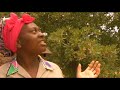 South Africa Panorama Route Birding hot spot