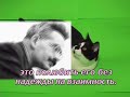 Valentine for Russian Perfect Strangers