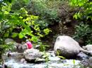 Iao Valley
