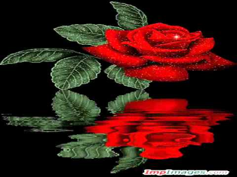 NIE PŁACZ AGNIESZKO.wmv