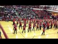 Palatine HS Flash Mob