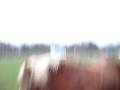 Esmee-lens 525.avi
