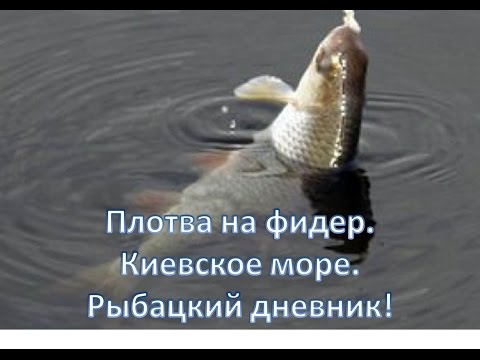 На море с фидером На море с фидером