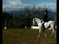 E2 dressage E2 dressage