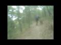 videos de cercedilla: sendero 