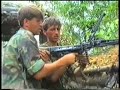 202 garava planjski tigrovi jelah tesanj bosna! 202 garava planjski tigrovi jelah tesanj bosna!