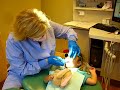 Anya - 3y2m - First Dentist Visit