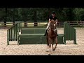 Hunter Jumper DVD - The Judge\