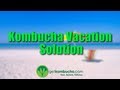 Kombucha Vacation Solution