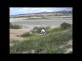 The Backflip: Upscaled to HD:YouTube������=7��