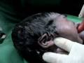 Natural Final Vaginal Stage Labor Childbirth-Parto Inducido segundigesta