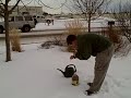 Applying CCF (Concentrated Compost Factor) in the snow