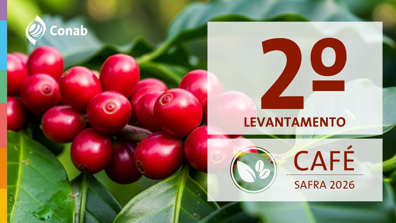 2º Levantamento da Safra de Café 2026