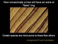 Why Young Earth Creationists are WRONG, Part I
