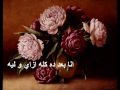 fatit sneen elissa