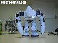 Robot Emotions