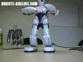 Robot Emotions
