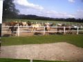 Klein Rohe Sommer 2009 ♥
