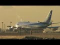 Morning Takeoff's