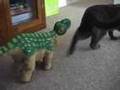 Pleo - Caught in the Wild! - Test Demo