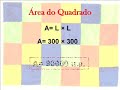 A Matemática das Abelhas A Matemática das Abelhas