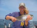 Lake Ontario Brown Trout fishing with Hat Trick Charters
