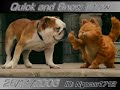 Quick and Snow Show 26/11/2006 (Video1) Quick and Snow Show 26/11/2006 (Video1)