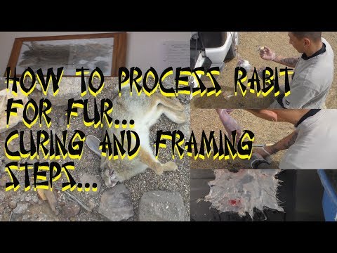 how to cure rabbit skin