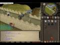 noob thinks he alchin 2k phats