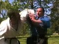 AIKIDO REAL SELF-DEFENSE - Sankyo osae