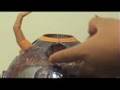 videos de Universe Unicron Review