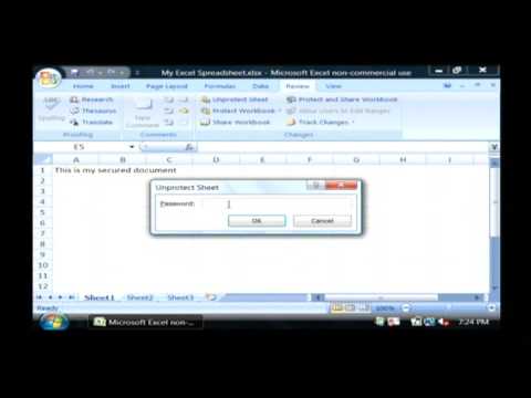 how to remove excel password 2007