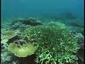 Komodo Island, Indonesia - The Nature Conservancy