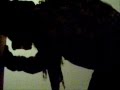 videos de DER BRILLENMANN SNOWBOARD